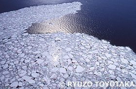網走沖 流氷 北海道 2月