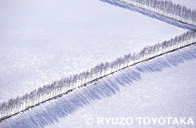 雪原の木立　北海道　3月