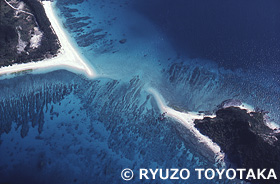 座間味島　慶良間諸島　沖縄県　8月