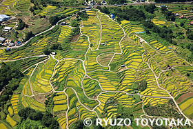 姨捨の棚田　長野県　9月