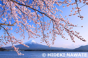 河口湖より富士山　山梨県