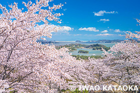 松島海岸　宮城県