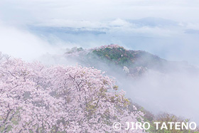 積善山　愛媛県