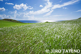 石垣島　沖縄県