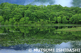 観音沼　福島県