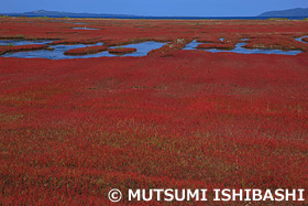 能取湖　北海道