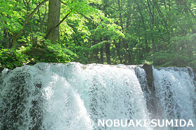 奥入瀬渓流　銚子大滝　青森県