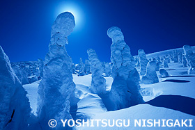 蔵王の樹氷　山形県