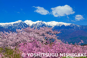 冨士山公園　愛媛県