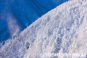 新道峠の雪景色　山梨県