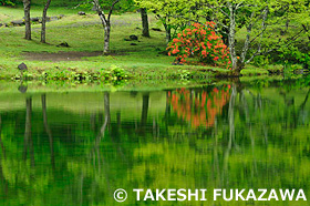 駒出池　長野県