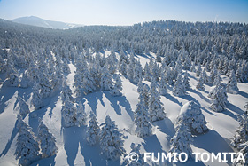 蔵王 山形県