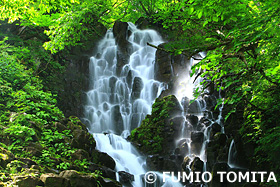 大尾不動滝　新潟県