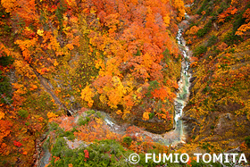 城ヶ倉渓谷　青森県