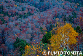 白布峠　山形県