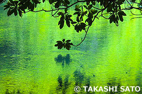 丸池様　山形県