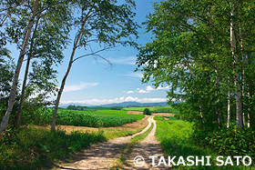 北海道