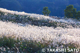 蒜山高原　岡山県