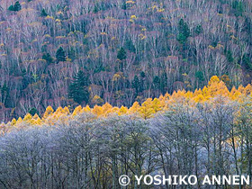 上高地　長野県