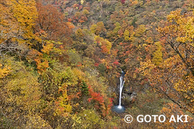 紅葉　駒止の滝　栃木県　10月