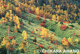 草津白根山　群馬県　10月