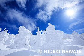 蔵王の樹氷　山形県　2月