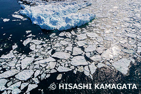 流氷　ドローン撮影　北海道　2月