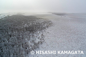 霧氷　走古丹原生花園　ドローン撮影　北海道　2月