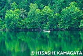 チミケップ湖　カヌー　北海道　7月
