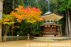 高野山真言宗 総本山金剛峯寺　六角経蔵　　　紀伊山地の霊場と参詣道　和歌山県　10月