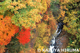 中津川渓谷　裏磐梯　福島県　10月