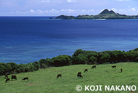 石垣島　沖縄県　7月