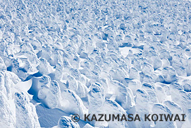 蔵王樹氷　山形県　2月