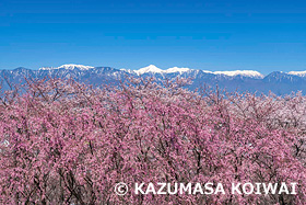 弘法山古墳　長野県　4月