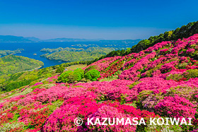 長串山公園　長崎県　4月