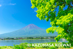 河口湖と富士山　山梨県　8月