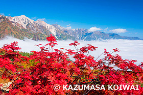 八方尾根と白馬三山　長野県　9月