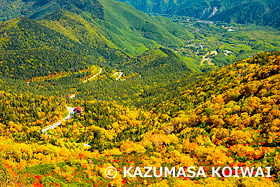 乗鞍高原　長野県　10月