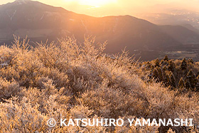 夕暮れの阿蘇の霧氷　熊本県　1月