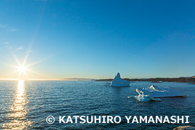 イルリサットの沈まぬ太陽　氷山　グリーンランド　6月