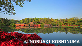 長岡天満宮　京都府　4月