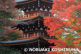 岡寺　奈良県　11月