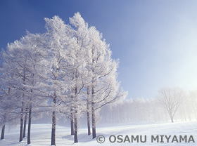 北海道　3月