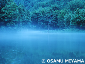 礼内川と原生林　北海道　7月