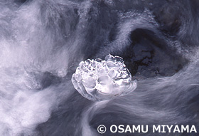 氷の造形　北海道　2月