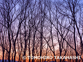 夕暮れの霊山麓　福島県　2月