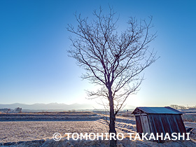 八ヶ岳中央高原　長野県　3月