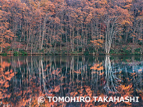 玉川ため池　山形県　11月