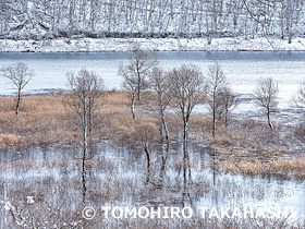 錦秋湖　岩手県　11月