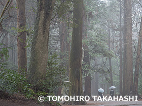 鹿島神宮　茨城県　2月